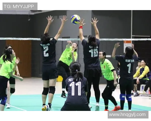 最新排球团队协作排行榜揭晓北京排球队荣登榜首引领风骚